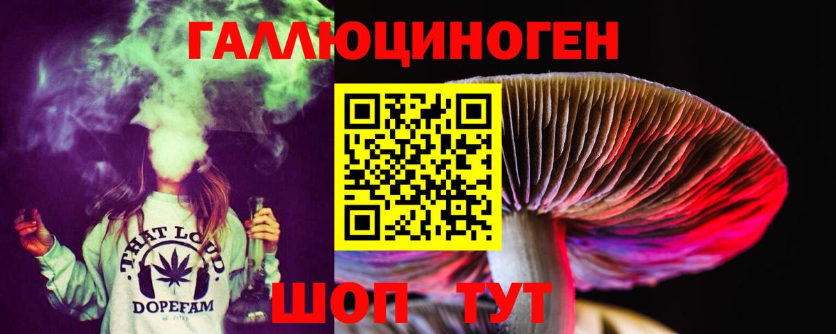 Псилоцибиновые грибы Psilocybine cubensis  Вход с VPN  Соль-Илецк 